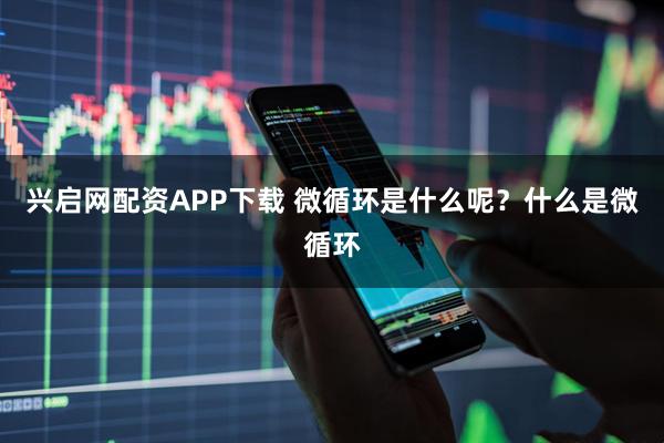 兴启网配资APP下载 微循环是什么呢？什么是微循环